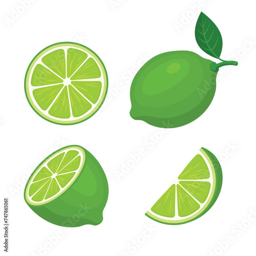 Lime With Slices and Leaves Set on white background. Vector