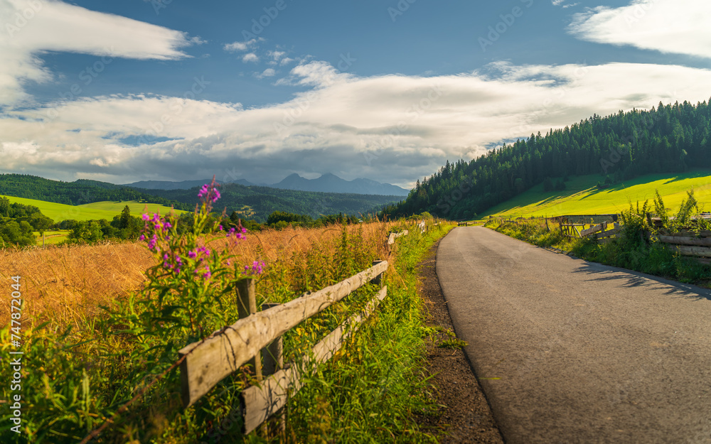 Fototapeta premium Tatra Mountains, Poland. Panorama of a mountain landscape. Country road in the mountains