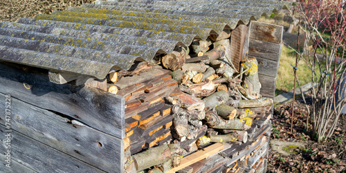 Panorama firewood stacked in the garden