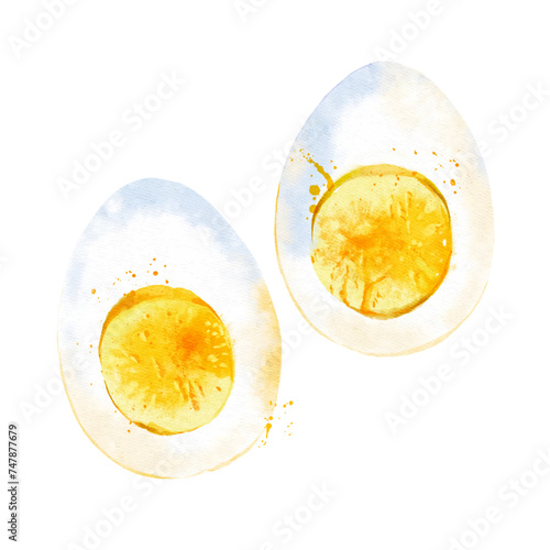 Watercolor illustration boiled eggs. 
Vector isolated painting of fresh organic food breakfast