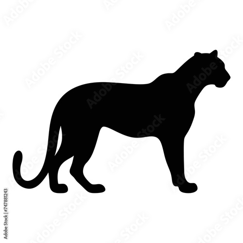 Cheetah silhouette collection on a white background. Cheetah vector illustration