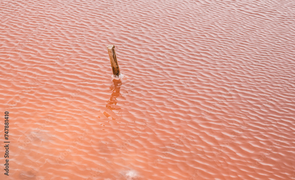 Salins d’Aigues-Mortes, Camargue, France. Europe's largest salt marshes Salin-de-Giraud, sea salt production.