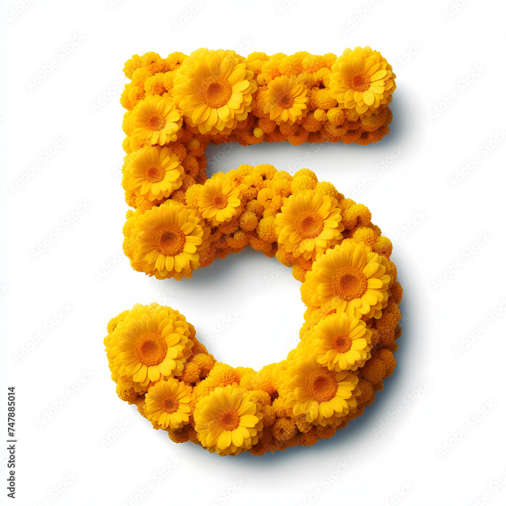 Number 5 is made of real natural Yellow flowers, Isolated on a white background, flower font concept, Creative Numbers Number 5 is made of real natural Yellow flowers, Isolated on a white background, flower font concept, Creative Numbers