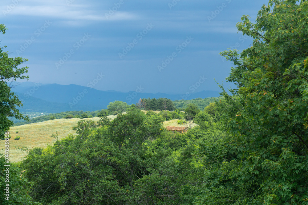 Sky and mountains on a cloudy day before rain. Beautiful field through the trees. Trees and mountain views with many peaks. Beautiful dark clouds.