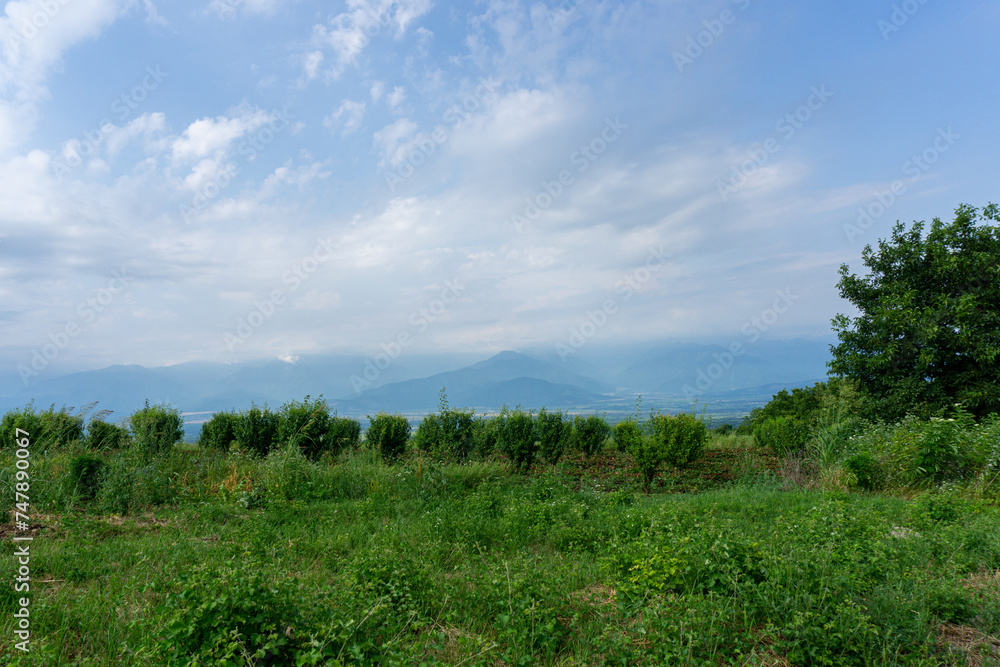 Sky and mountains on a cloudy day before rain. Dark green grass, row of bushes. Trees and mountain views with many peaks. Beautiful dark clouds. Sky and mountains on a cloudy day before rain. Dark green grass, row of bushes. Trees and mountain views with many peaks. Beautiful dark clouds.