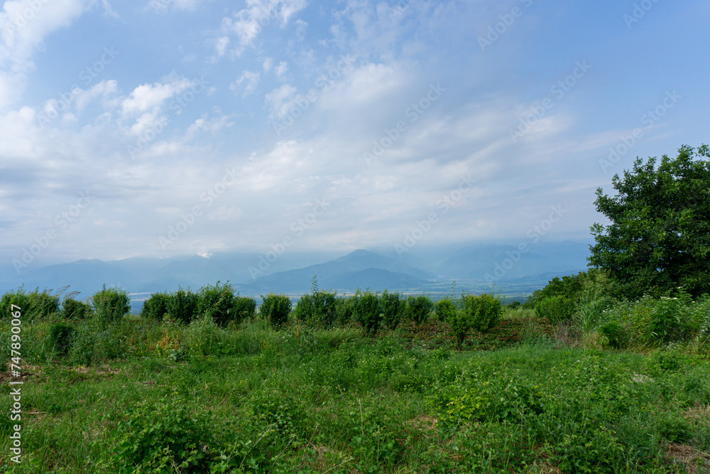 Sky and mountains on a cloudy day before rain. Dark green grass, row of bushes. Trees and mountain views with many peaks. Beautiful dark clouds.