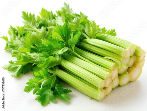 fresh greens celery white background