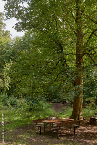 Idyllic Picnic Area At Urach Waterfall Cascade “Uracher Wasserfall“ Under A Maple Tree (Acer) With Green Foliage In Summer Season. Beer Tent Set Covered With Fallen Leaves In Natural Reserve Forest