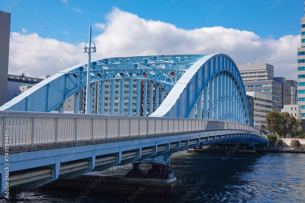 Fototapeta premium 隅田川に架かる名橋 永代橋(東京都江東区)