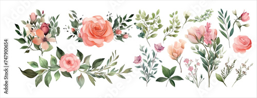 Watercolor Floral Arrangement Collection Featuring Roses, Leaves, and Blossoms for Invitations, Decorations, and Art