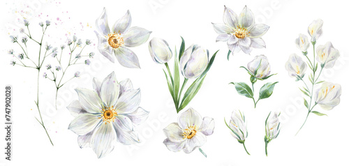 White flowers clipart watercolor, floral elements for wedding invitations. Vintage illustrations. photo