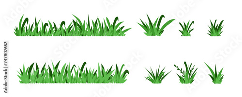 Green grass. Field isolated elements. Spring summer hand drawn herb, park lawn meadow sketch style, cartoon flat isolated botanical elements for decor, ecological symbol, vector doodle illustration
