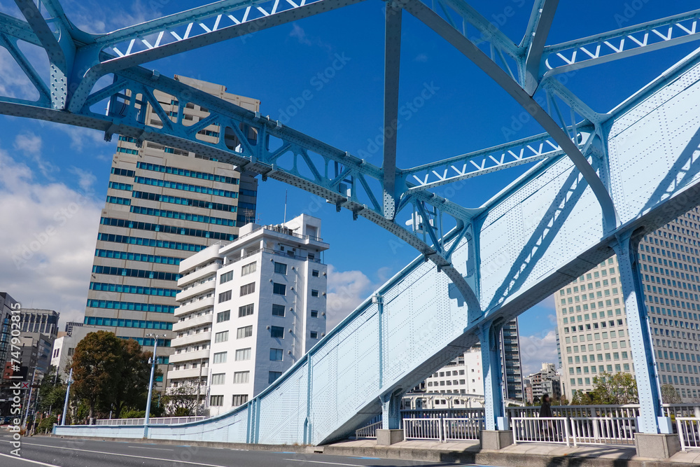 Fototapeta premium 隅田川に架かる名橋 永代橋(東京都江東区)