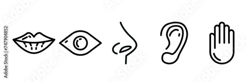 5 human senses icon collection set. Vector illustration