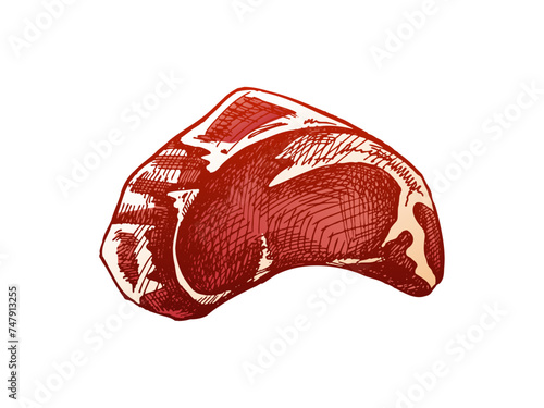 Organic food. Hand-drawn colored vector sketch of beef steak, piece of meat. Doodle vintage illustration. Decorations for the menu of cafes. Engraved image.