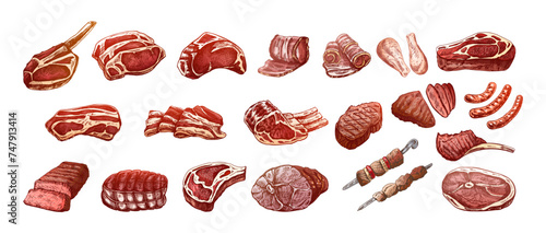 Set of hand-drawn colored sketches of different types of meat, steaks, chicken, kebabs, bacon, tenderloin, pork, beef, ham, barbecue. Vintage illustration.