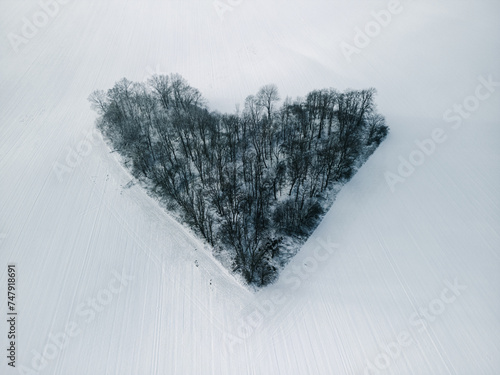 Heart-shaped trees located among snowy winter fields - Grove of Love (Zagajnik Miłości)