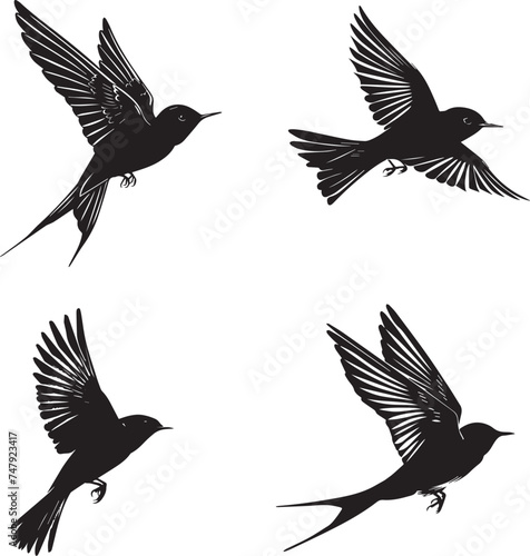 Black silhouette Swallow bird on white background