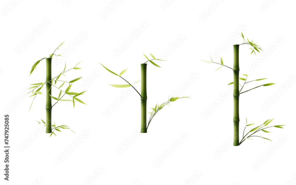 Isolated green bamboo element, 3d rendering. Isolated green bamboo element, 3d rendering.
