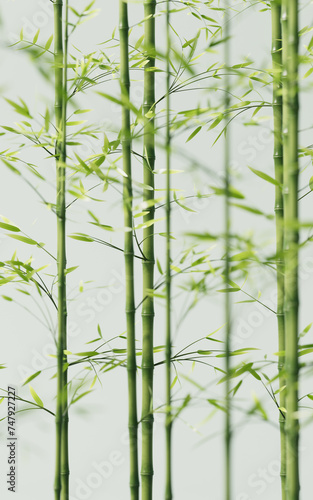 Green natural bamboo plant background  3d rendering.