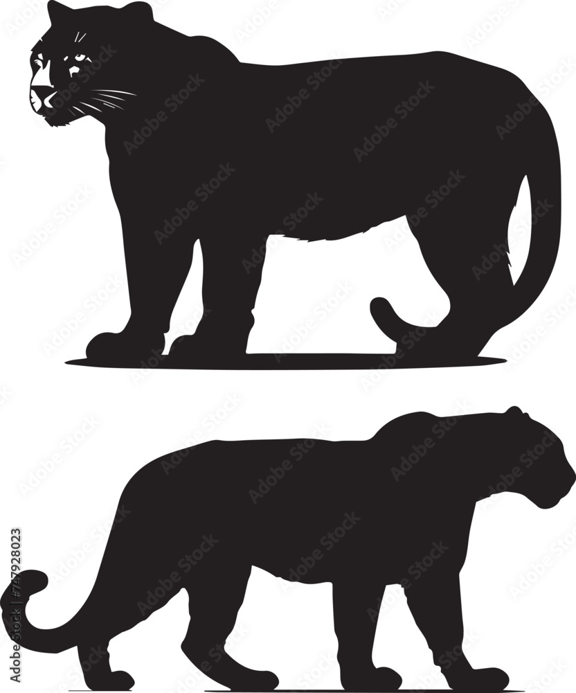 Two Black Silhouette Panther on a white background