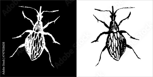 Illustration vector graphics of Buggys icon