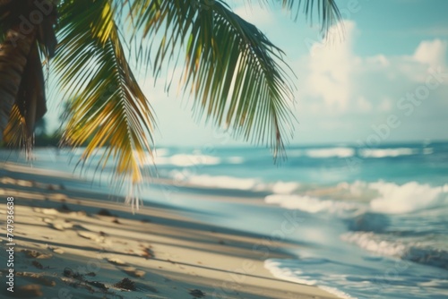 A serene beach scene with a prominent palm tree. Suitable for travel and vacation concepts