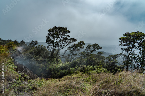 Hawaiʻi Volcanoes National Park. At Wahinekapu (Steaming Bluff), a short walk from the Steam Vents parking area, you can feel the breath of the volcano as hot water vapor billows from the earth.  photo