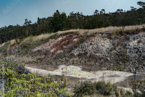 Valokuva At Ha'akulamanu (Sulphur Banks), volcanic gases seep out of the ground, along with ground water steam