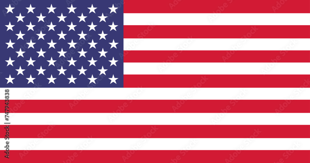 vector illustration of the flag of the United States of America vector illustration of the flag of the United States of America