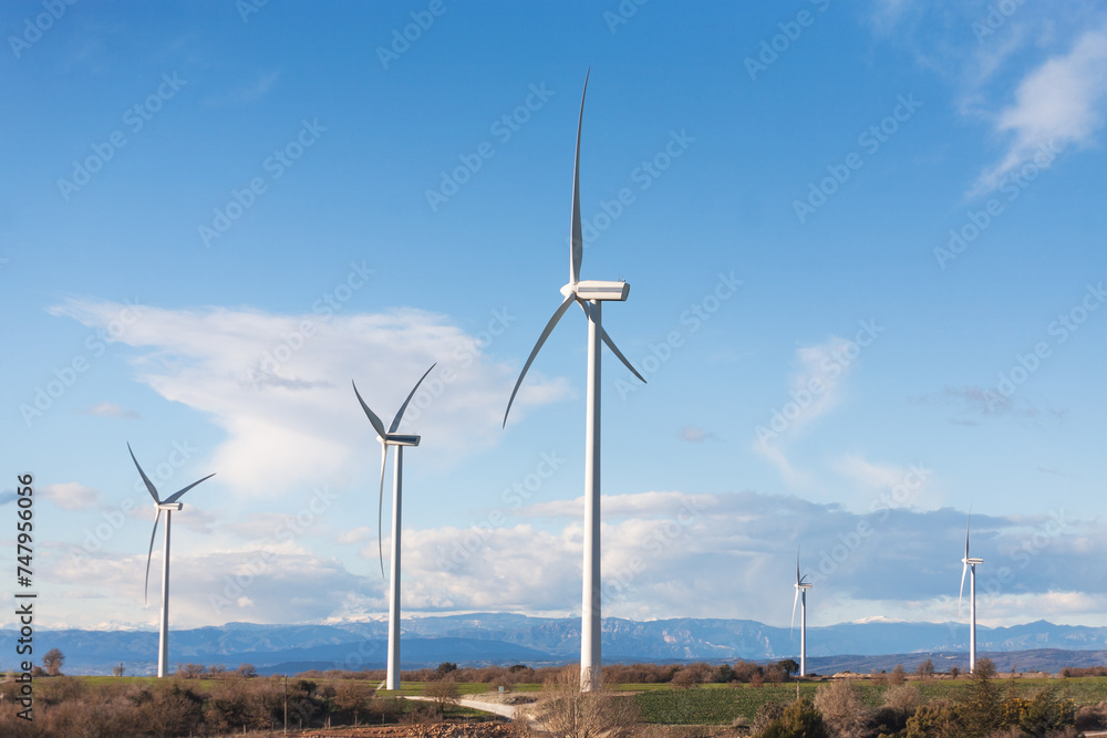 view with wind farm with the Pyrenees mountains in the background
