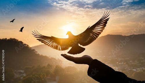 Freedom in Flight: Silhouette Pigeon Soaring from Two Hands"