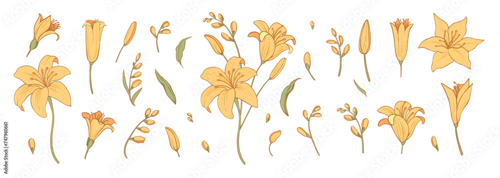 Set of luxury colorful flowers and logo. Trendy botanical elements. Hand drawn line leaves branches and blooming. Wedding elegant wildflowers for invitation save the date card. Vector Set of luxury colorful flowers and logo. Trendy botanical elements. Hand drawn line leaves branches and blooming. Wedding elegant wildflowers for invitation save the date card. Vector