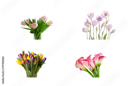 spring natural colorful flower set