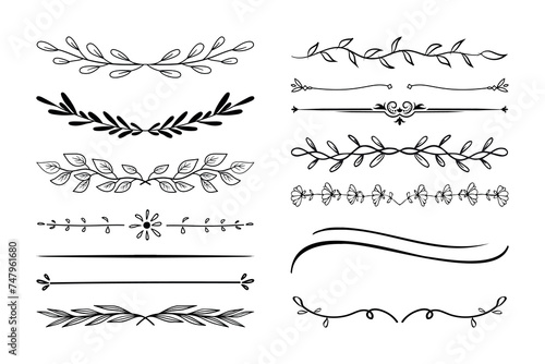 Set of hand-drawn botanical flowers line art vector. Collection of foliage, leaf branches, floral, flowers, roses, and line art. photo