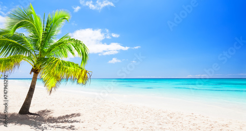 Fototapeta Naklejka Na Ścianę i Meble -  Beautiful tropical white sand beach and coconut palm tree in Punta Cana, Dominican Republic.