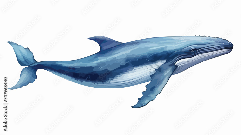 Watercolor blue whale illustration isolated on white