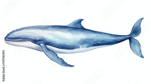 Watercolor blue whale illustration isolated on white © Vector