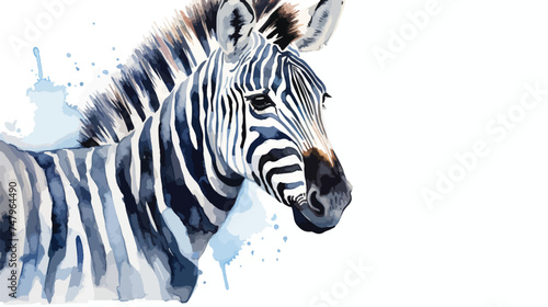 Zebra watercolor illustration on a white background