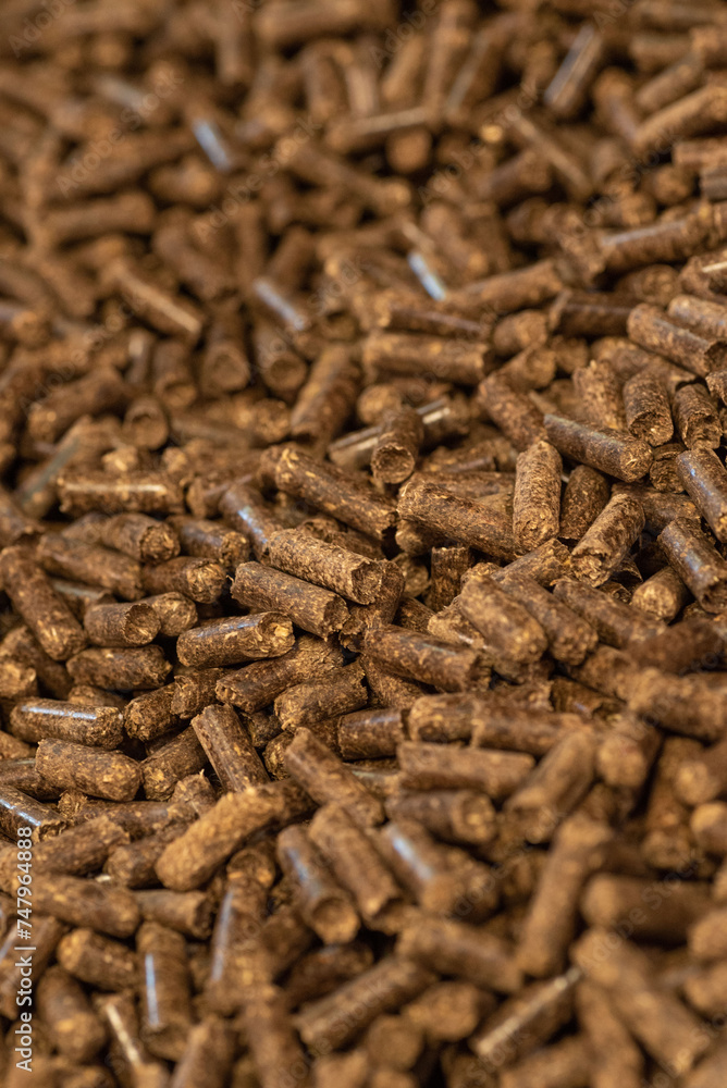 DÉTAIL DE GRANULES DE CHAUFFAGE SANS BOIS DÉTAIL DE GRANULES DE CHAUFFAGE SANS BOIS