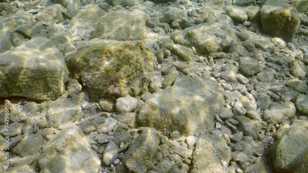 Large stones covered with layer of algae in shallow water with sun glare sparkling under bright sunrays, Mediterranean Sea. Camera moving forwards above rocky seabed, Natural underwater seascape Large stones covered with layer of algae in shallow water with sun glare sparkling under bright sunrays, Mediterranean Sea. Camera moving forwards above rocky seabed, Natural underwater seascape