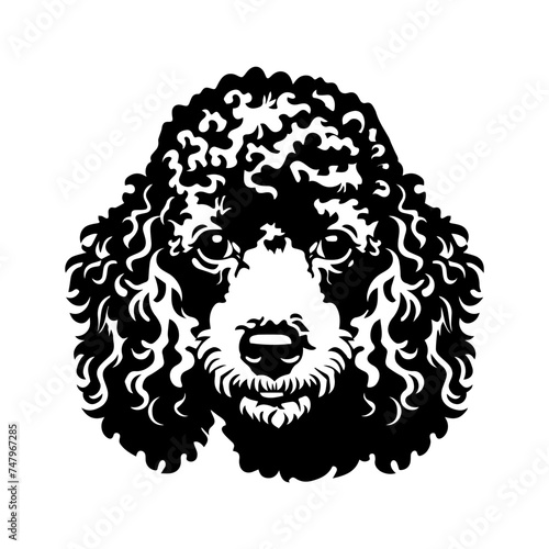 Poodle dog portrait vector illustration