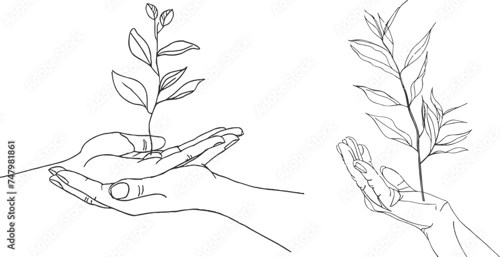 Continuous line drawing of hands palm with growth plant Continuous line drawing of hands palm with growth plant
