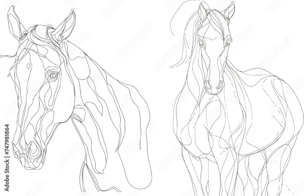 Horse one line drawing