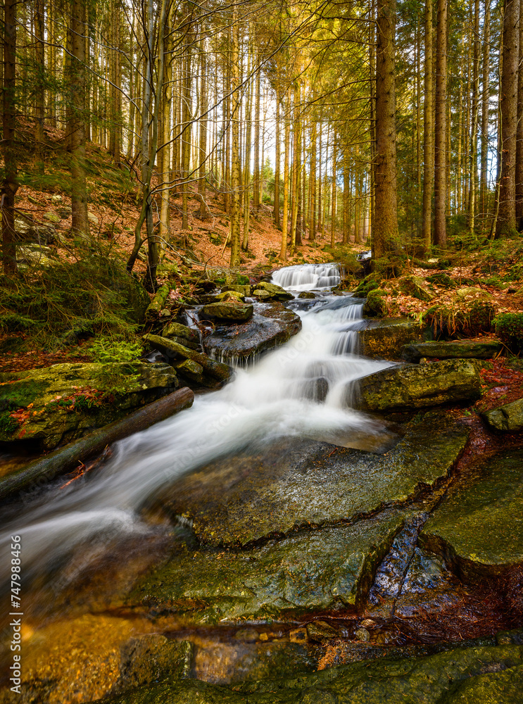 Fototapeta premium Waterfalls, cascades, Jeseníky mountains, water, forests, rocks, trees, mountain stream