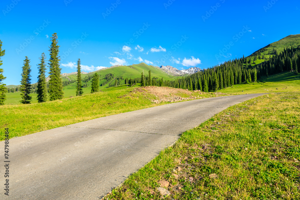 Country road and green meadow with mountain nature landscape in summer
