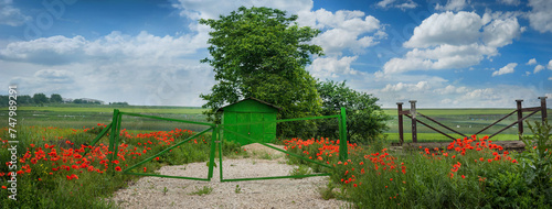 gate and garage, meadow of wild poppies under a beautiful sky with clouds, pa...