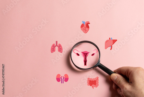 healthy female concept. female reproductive system of the uterus, women's health, polycystic ovary syndrome, gynecological and cervical ovarian cancer,