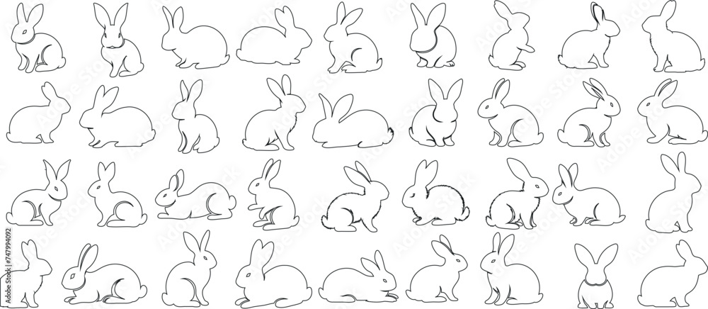Bunny Line art collection