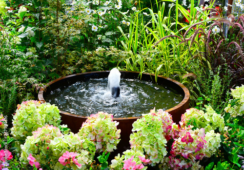 mała fontanna w drewnianej beczce, hortensja bukietowa, Hydrangea paniculata, small fountain in a wooden barrel, fountain in backyard, gardening design	 photo
